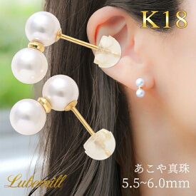 パール ピアス あこや真珠 18k ライン パールピアス レディース 2連 バー イヤリング 18金 k18 ラインピアス 小ぶり シンプル 女性 入学式 ギフト おしゃれ カジュアル 2連ピアス 七五三