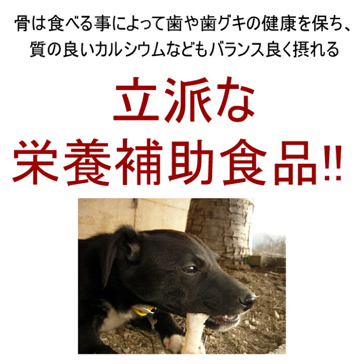 楽天市場】エゾ鹿 背骨4本 (約1kg)【犬 おやつ ドッグフード 生食 無添加 国産 エゾシカ ペットフード】 : 北海道えぞ鹿肉専門店 北のジビエ 楽天市場】エゾ鹿 背骨4本 (約1kg)【犬 おやつ ドッグフード 生食 無添加 国産 エゾシカ ペットフード】 : 北海道えぞ鹿肉専門店 北のジビエ