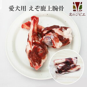 y݌Ɉ|zp G] r2y1l5܂Łz