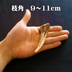 ypz܂ }p 9cm`11cm prR ybgAANZT[FXBkCG]VJ
