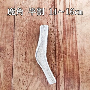 p 14-16cm Jbg 1{@ylR|Xz