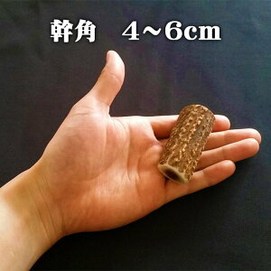 ypz܂ p 4cm`6cm prR ybgAANZT[FXBkCG]VJ