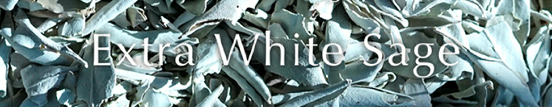 エクストラ・ホワイトセージ