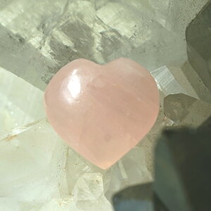 n[gXg[yRR̂z t[IuCt|[`t [YNH[cANX^AAWXgAZiCgAt[CgBuŏ򉻂łXg[ACeB N