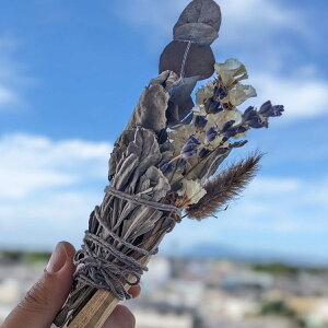 zCgZ[W X}bWXeBbNyZiCg&pTg Ȃu[PLbgz򉻁ESBNR