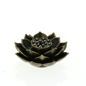  yR[^CvpznX̉Ԃ̂ā@[^Xt[