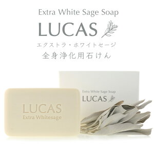 ホワイトセージ オーガニックの人気商品 通販 価格比較 価格 Com