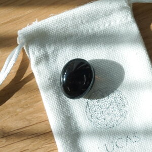 I ^X}@ELy@E쏜̂zt[IuCt|[`t / LUCAS 