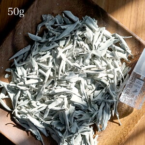 zCgZ[W [t 50gyJtHjAAEI[KjbNEzCgZ[WF؁z X}bWO ґz K GNXgEzCgZ[W LUCAS JX NY