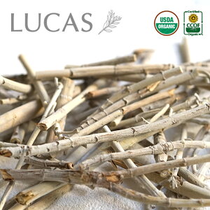 zCgZ[W XeBbNi}j 30gyJtHjAAEI[KjbNEzCgZ[WF؁z X}bWO ґz K GNXgEzCgZ[W LUCAS JX NY