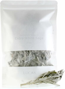 zCgZ[W 򉻗p [JtHjAAEI[KjbNF] LUCAS JX  X}bWO K ґz _ Z[W z[[n[u č_ȁiUSDAjJtHjAFiCCOFj