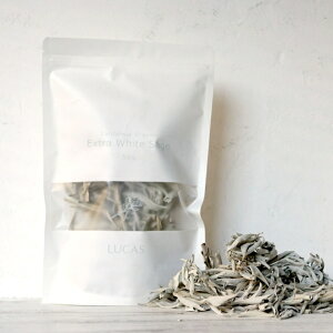 LUCAS JX GNXgEzCgZ[W [JtHjAAI[KjbNF_Y ] 50g X}bWO  K ґz _ Z[W z[[n[u č_ȁiUSDAjJtHjA