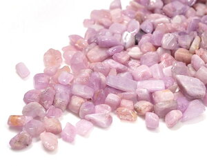 Nc@Cg  Type.1 100g | א  p[Xg[ GlM[`[W   VR΁@X}bWO LUCAS JX NY