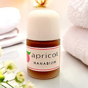 ytetzǍqAvGWF et vZ^ qA_ ̃n vZ^t qA_t Ԃ et  n GbZX Z ڌ s[  