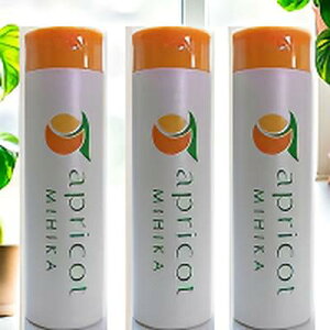 yzǍX (X) 3{ZbgywAg[ggAAgs[zɕSȂRhX