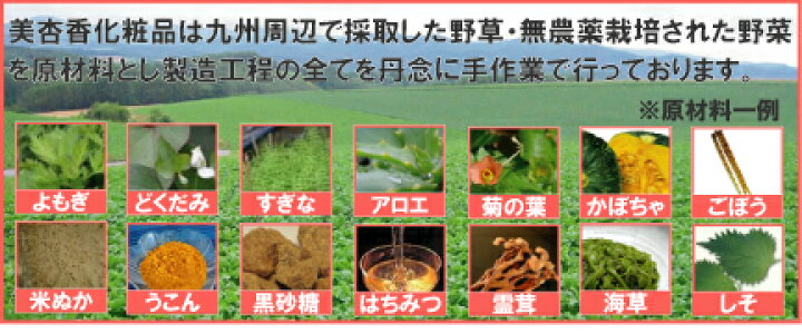 楽天市場】送料無料! 美杏香ハーミットパウダー240g 薬草 漢方 植物 