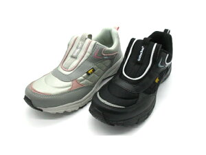 GoldenBear S[fxA GB326 fB[X@Xb|@Xj[J[@3E@