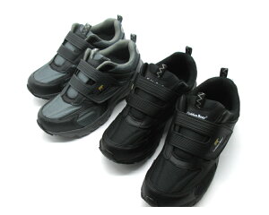 GoldenBear S[fxA GB109 am@Y@}WbNe[v@Xj[J[@3E@