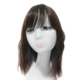 部分ウィッグ 前髪ウィッグ ヘアピース かつら カツラ 女性 レディース トップピース ポイントピース 35cm 人工毛 薄毛 脱毛 うぃっぐ セミロング 国内メーカー ストレート 部分 日本 国内メーカー ウイッグ【3点セット】 断熱美人セミロング Luce brillare ルスブリラーレ