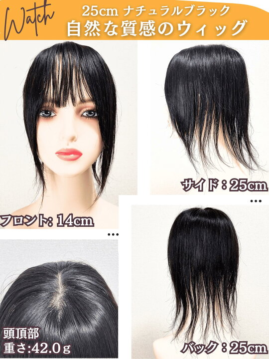楽天市場】【P5倍 ワンダフルデー 4/1限】 部分ウィッグ ヘアピース 
