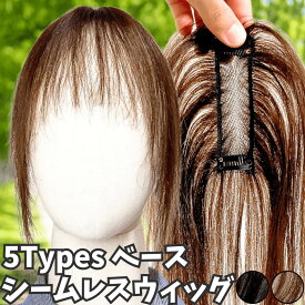 部分ウィッグ ヘアピース ポイントウィッグ 女性 レディース 人毛100% かつら ウィッグ 医療用 トップピース トップカバー トップウィッグ ストレート 前髪ウィッグ 人毛ウィッグ つむじ 頭頂部 白髪カバー 自然 メッシュ カバーウィッグ