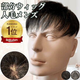 ウィッグ メンズ 人毛 おしゃれ メンズウィッグ かつら ヘアピース トップピース ポイントピース 人毛 トップウィッグ 男性用かつら 部分ウィッグ つむじ 頭頂部 医療用 部分カツラ カバーウィッグ 白髪隠し ショート 前髪 ビジネス バレない