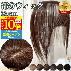 【4時間限★1/24 20時～P10】 部分ウィッグ ヘアピース ポイントウィッグ 女性 レディース 人毛100% かつら ウィッグ ショート トップピース トップカバー トップウィッグ ストレート 前髪ウィッグ 人毛ウィッグ つむじ 頭頂部 白髪カバー 自然 白髪隠し カバーウィッグ