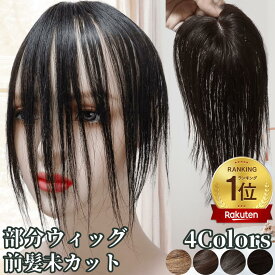 部分ウィッグ ヘアピース ポイントウィッグ 前髪未カット センター分け 女性 レディース 人毛 かつら ウィッグ ショート トップピース トップカバー トップウィッグ 前髪ウィッグ 人毛ウィッグ つむじ 医療用 自然 白髪隠し カバーウィッグ