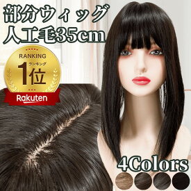 部分ウィッグ 前髪ウィッグ ヘアピース カツラ 女性 レディース 自然 トップピース ポイントピース トップカバー カバーウィッグ トップウィッグ 35cm 医療用 薄毛 バレない 痛くない 白髪カバー 白髪隠し セミロング ストレート ワンタッチ