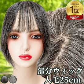 白髪ウィッグ 白髪かつら 部分ウィッグ ヘアピース ポイントウィッグ 白髪 グレイヘア トップウィッグ トップカバー ポイントピース 増毛かつら レディース 人毛100 ウィッグ 医療用 つむじ 頭頂部 ワンタッチ トップピース ストレート