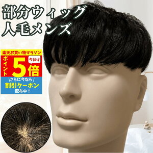 【P5倍&クーポン マラソン限定】 ウィッグ メンズ 人毛 おしゃれ メンズウィッグ 浮かない ヘアピース トップピース ポイントピース 人毛 トップウィッグ 男性用かつら 部分ウィッグ パーマ