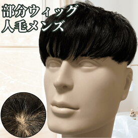 ウィッグ メンズ おしゃれ メンズウィッグ 浮かない ヘアピース トップピース ポイントピース 人毛 トップウィッグ 男性用かつら 部分ウィッグ パーマ 頭頂部 医療用 部分カツラ カバーウィッグ 白髪隠し ショート 前髪 ビジネス バレない