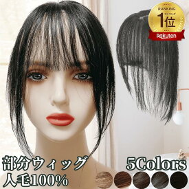 部分ウィッグ ウィッグ 人毛100% ヘアピース 前髪ウィッグ 前髪 毛量少なめ トップカバー トップウィッグ 白髪隠し レディース つむじ 頭頂部 ワンタッチ ショート 人毛ウィッグ トップピース ポイントピース 医療用 自然 バレない 痛くない