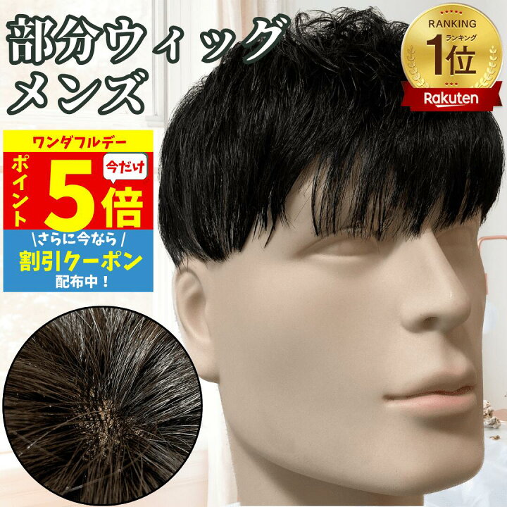 楽天市場】【11/1限定 ポイント5倍】 ウィッグ メンズ 人毛100% かつら 