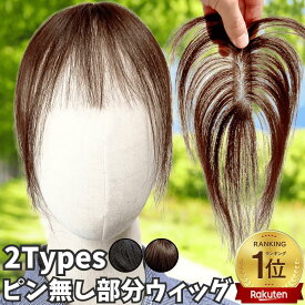 ピンなし ウィッグ ピン無し部分ウィッグ 頭頂部 白髪隠し 部分 ピン不要 リタッチ 分け目 人毛100 ヘアピース 医療用 手植え トップピース つけ毛 増毛 軽量 自然 部分かつら 薄毛隠し 前髪ウィッグ 前髪 つむじ 女性 脱毛 ポイントウィッグ
