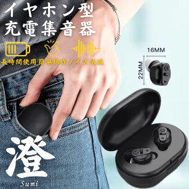 集音器 耳穴式 両耳対応 USB充電 ワイヤレス イヤホン 小型 軽量 ケース付き ケーブル付き みみあな 集音機 助聴器 遠聴器 会話 テレビ 簡単 プレゼント ブラック 黒色 両親 祖母 祖父 贈り物 ギフト 快適 音量調整機能 勤労感謝 敬老の日