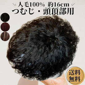 部分ウィッグ ヘアピース メンズ レディース カール ウェーブ かつら 男性 女性 薄毛 脱毛 部分カツラ くせ毛 医療用 トップピース パーマ つむじ 頭頂部 人毛 ウイッグ ウイッグ パーマヘア 自然 ふんわり ショート 日本 つむじにパーマ＋