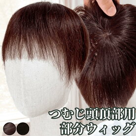 部分ウィッグ トップカバー 増毛かつら トップウィッグ カバーピース ヘアピース かつら 男性 女性 ウイッグ メンズ レディース トップピース ポイントピース 白髪隠し 痛くない 医療用 部分カツラ つむじ 頭頂部 人毛 ショート ヘアーピース