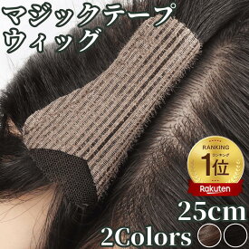 ピンなし ウィッグ ピン無し部分ウィッグ 頭頂部 白髪隠し 部分 ピン不要 リタッチ 分け目 人毛100 ヘアピース 女性用 手植 トップピース 総手植え 増毛 軽量 自然 部分かつら 薄毛隠し 前髪ウィッグ 前髪 つむじ 女性 脱毛 ポイントウィッグ