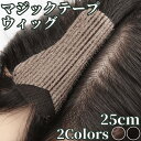 ピンなし ウィッグ ピン無し部分ウィッグ 頭頂部 白髪隠し 部分 ピン不要 リタッチ 分け目 人毛100 ヘアピース 女性用…