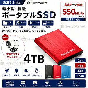 SALE�I�y1�N�ۏ؁z�y2026�V�o��z�O�t��SSD �|�[�^�u��SSD 1TB 4TB �O�t���n�[�h�f�B�X 500GB �����^�|�[�^�u�� �n�[�h�f�B�X�N 2TB USB3.1 Type-C �Ή� �X�}�z�݊��� �ϏՌ�