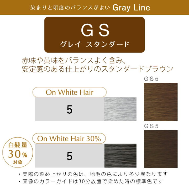 楽天市場】ホーユー プロステップ グレイカラー GS5 グレイ 