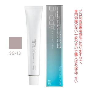 z[[ v}X^[ AvG SG-13 ZsAO[W 80g 򕔊Oi