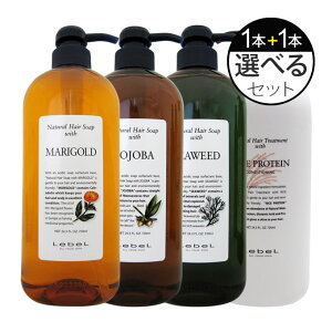 ���x�� �i�`�������w�A�\�[�v �� �g���[�g�����g 720mL (�|���v) �I�ׂ�2�{�Z�b�g