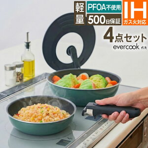 evercookfit GREEN �G�o�[�N�b�N�t�B�b�g IH�Ή� 4�_�Z�b�g �O���[�� EFGST4 �h�E�V�V�� �^ IH�Ή� �K�X�Ή� �S�M���Ή� ���E�n���h���t���C�p���Z�b�g ����肪���� �G�o�[�N�b�N ���E �I�ׂ� PFOA
