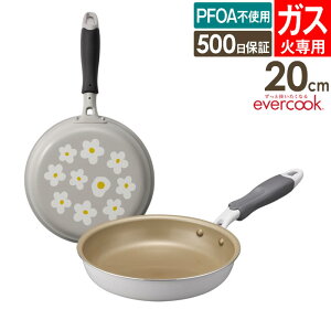 evercook �G�o�[�N�b�N �K�X��p �y�� �t���C�p�� 20cm �ԕ��O���[ EGFP20PGY �h�E�V�V�� �^ �K�X�ΑΉ� �t���C�p�� �ł��t���ɂ��� ������ ��v DOSHISHA �y�� �y�� PFOA�s�g�p ��̓� �L�O�� �v���[��
