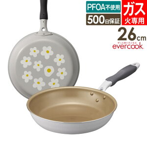 evercook �G�o�[�N�b�N �K�X��p �y�� �t���C�p�� 26cm �ԕ��O���[ EGFP26PGY �h�E�V�V�� �^ �K�X�ΑΉ� �t���C�p�� �ł��t���ɂ��� ������ ��v DOSHISHA �y�� �y�� PFOA�s�g�p ��̓� �L�O�� �v���[��