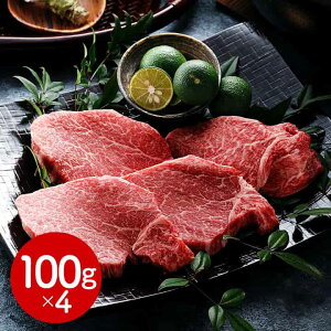  uJAЂv ˋqXe[Lp 400g