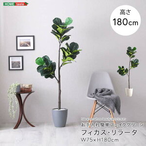 ȒPtFCNO[@tBJXE[^@LTCY(180cm)