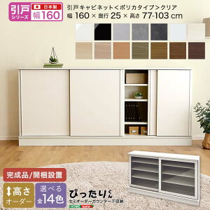 【引戸シリーズ】セミオーダーカウンター下収納ぴったりくん キャビネット(ポリカタイプ クリア) 幅160cm×奥行25cm